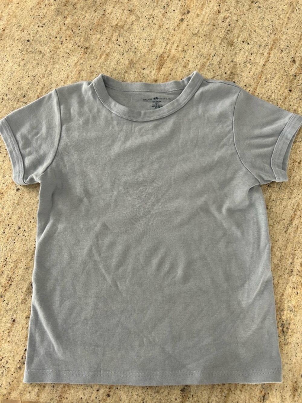 Brandy Melville Light Gray/Blue Tee